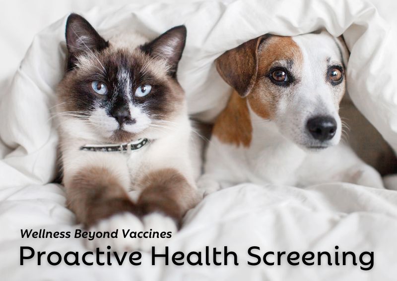 Carousel Slide 1: Proactive Health Screening