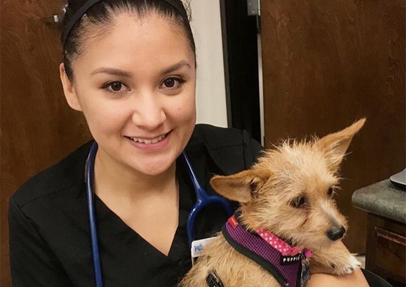 Tech Ridge Pet Hospital | Austin veterinary hospital